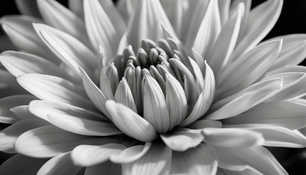 Mindful Photography