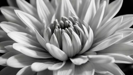 Mindful Photography: Capturing The Beauty Of Everyday Life