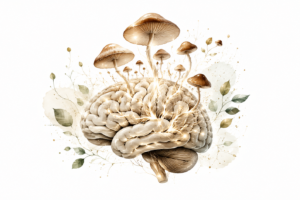 The Healing Power Of Medicinal Mushrooms: Benefits, Dosage, And What Actually Works