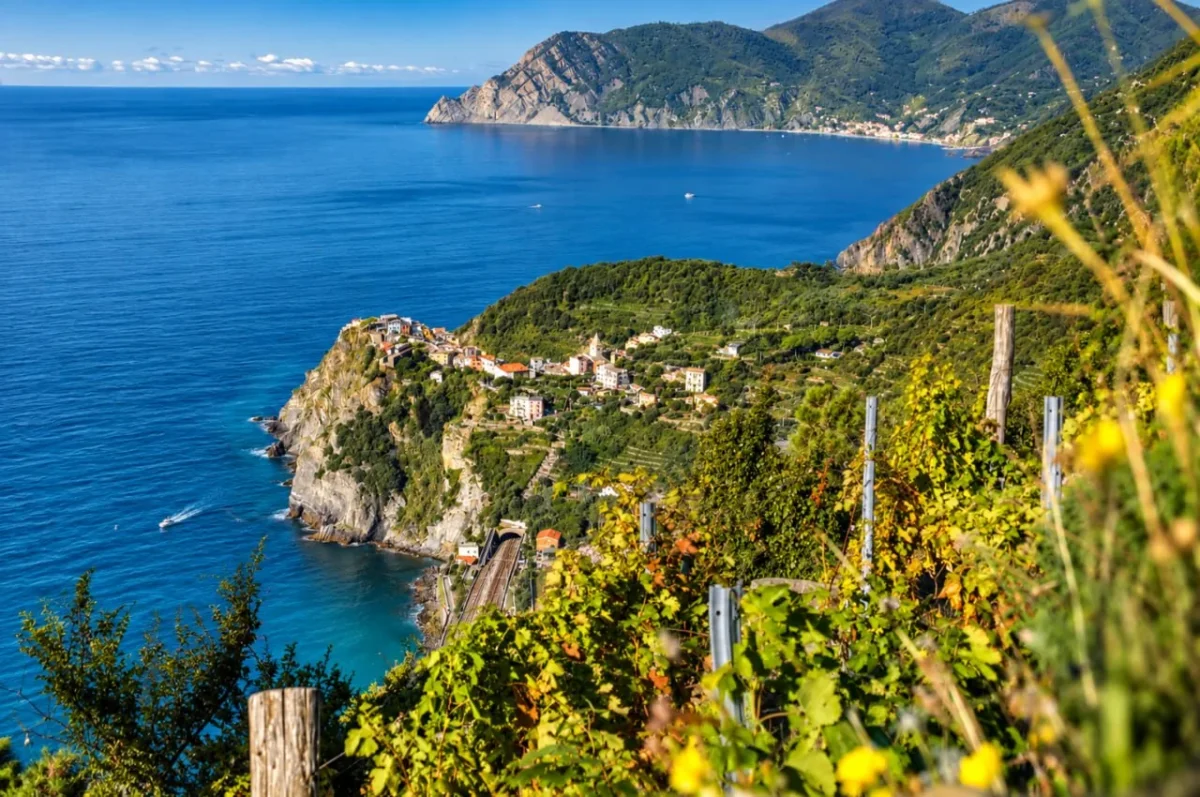Manarola Vineyard Coastal View J Photo Coastal Village On A Rocky Headland Above Blue Sea, Framed By Vineyard Greenery.
