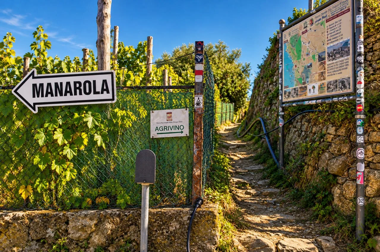 Vineyard Trail Sign Junction J Photo Manarola To Corniglia Via Volastra. Manarola And Agrivino Signs Mark A Stone Trail Junction Beside A Vineyard And Information Board.
